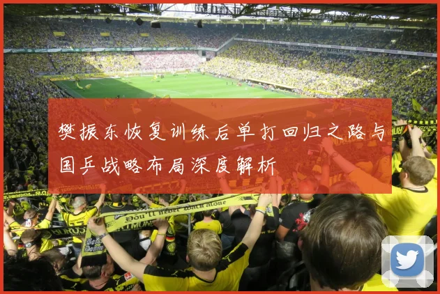 樊振东恢复训练后单打回归之路与国乒战略布局深度解析
